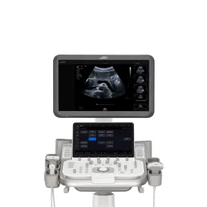 Siemens ACUSON Maple – ecograf shared services cu sonde convexă, liniară și cardiacă