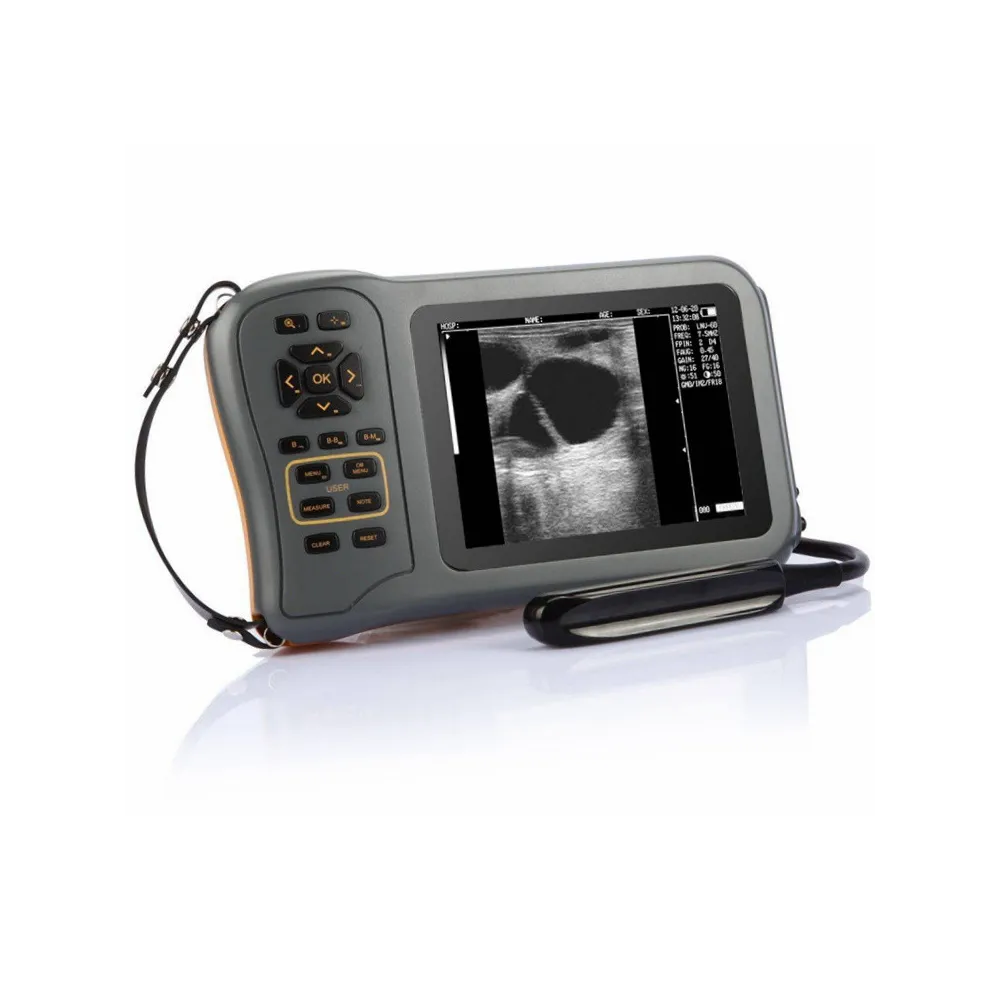 Ecograf veterinar portabil PROMED V3 pentru diagnostic și reproducție Ecograf veterinar portabil PROMED V3 pentru diagnostic și reproducție