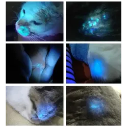 Lampă Wood veterinară PROMED Pet Wood Light L1