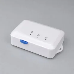 Holter ECG Patch Borsam